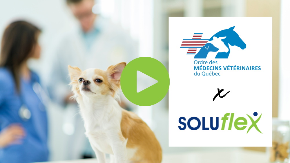 Ordre des medecins veterinaires du quebec st-cesaire temoignage (1)