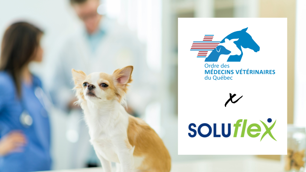 Ordre des medecins veterinaires du quebec st-cesaire temoignage